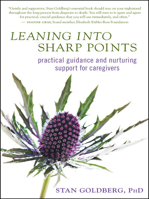 Cover image for Leaning into Sharp Points
